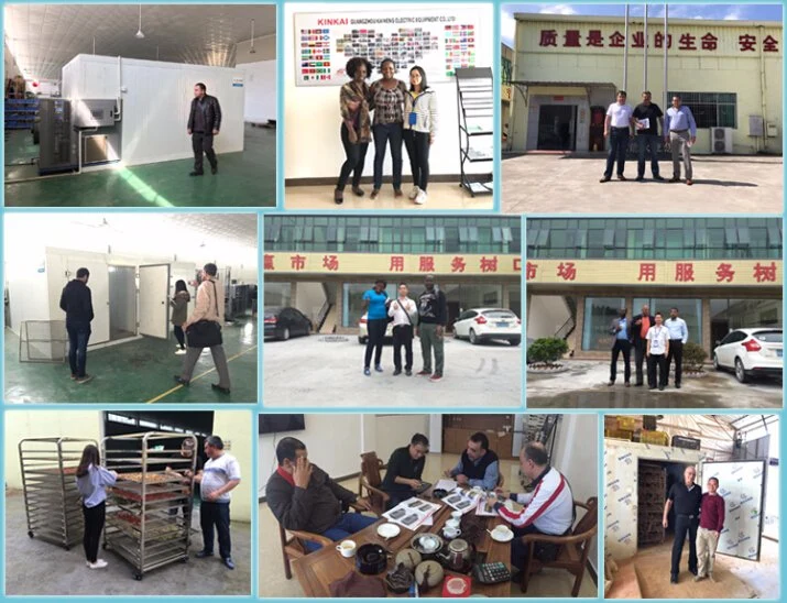 Various Food Fish Tomato Drying Type Industrial Fruit and Vegetable Dryer Machine